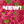 Charger l'image dans la galerie, Mojito Framboise Clever 0 sucre sans alcool x 12 canettes