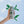 Load image into Gallery viewer, Non-Alcoholic Clever Mojito x 12 cans