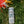 Load image into Gallery viewer, Clever Mocktails Mix Pack- 12 cans
